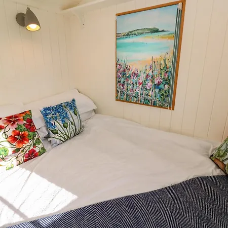 Lower Trewern Shepherds Hut *